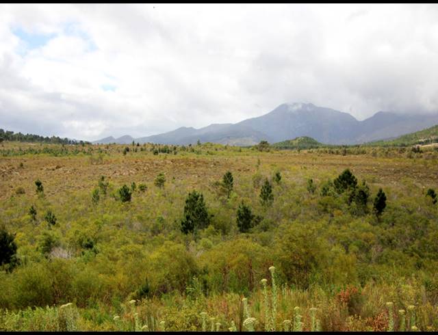 69HA FARM FOR SALE IN BOT RIVER